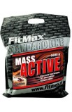 Mass Active, 5.0 кг