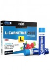 L-Carnitine, 2500 7 ампул